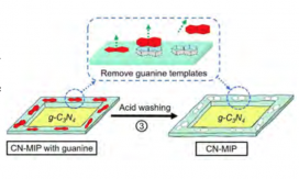 The use of molecular imprinted graphitic carbon nitride 