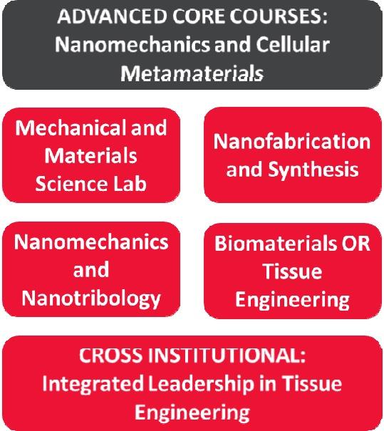 Course structure for undergraduate CELL-MET concentration