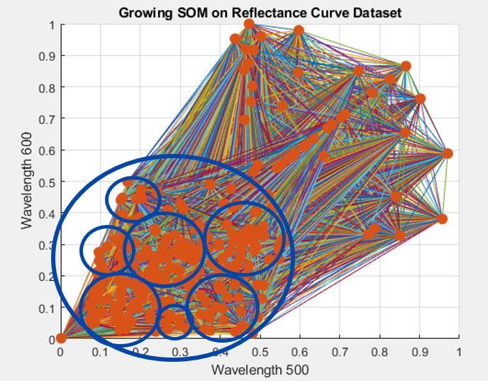 A growing self-organizing map of silicon nanostructure dataset